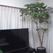 Title_022